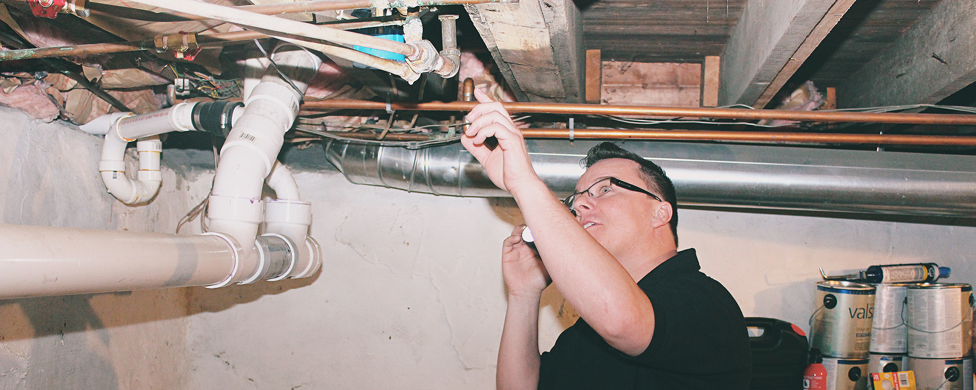 attic mold inspection Tidewater Region of Virginia