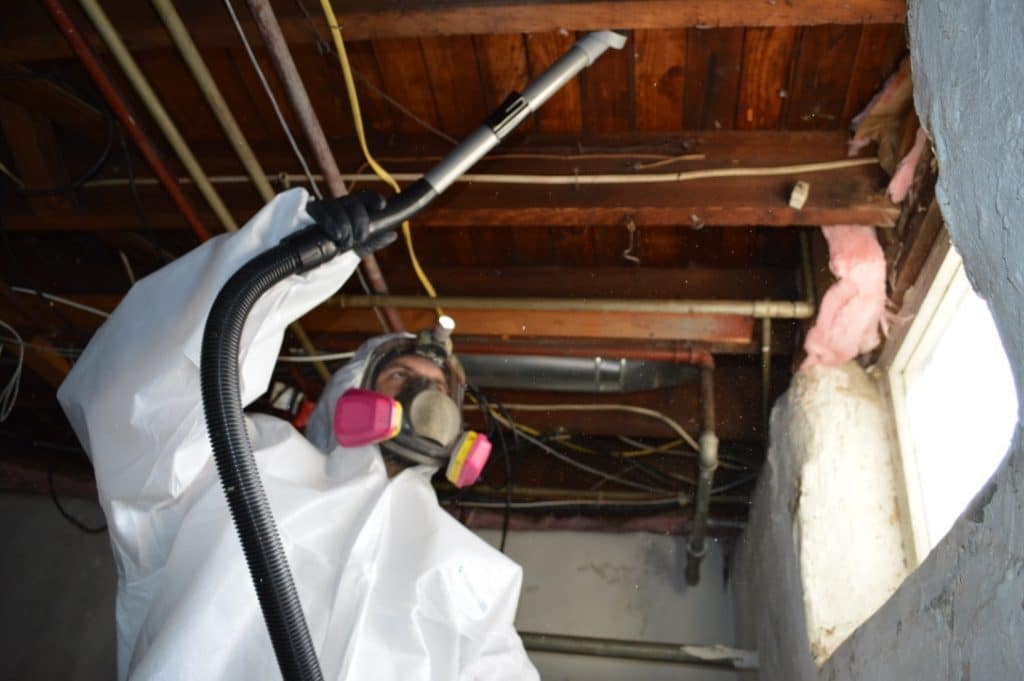 basement floor joist mold prevention in the tidewater region of virginia