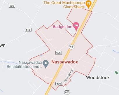 Mold removal company serving Nassawadox, Virginia