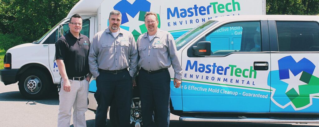 Certified and Licensed Mold Removal Company In Virginia