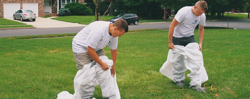 Mold Removal Chesapeake Virginia